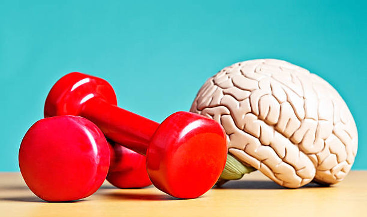 12 Steps To Set Yourself Up For Success – Why Brain Health Should Be A Priority